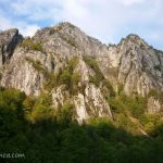 Buila pe la poale si pe din dos. Cand nu exista placere fara durere.