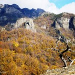 Cozia. O tura in care nu s-a intamplat nimic. Doar a fost toamna.